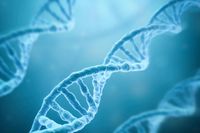 стволови клетки мнения - 58872 промоции | Bioregeneration стволови клетки мнения - 92298 промоции