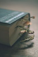 разделител за книга щипка - 14803 бестселъри | Нови книги разделител за книга щипка - 79725 бестселъри