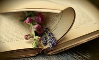 разделител за книга щипка - 17712 вида разделител за книга щипка - 29961 вида