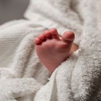 Стволови клетки от пъпна връв - 87898 варианти Стволови клетки от пъпна връв - 93298 варианти